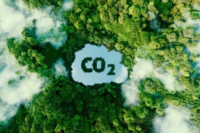 Focus sur le Bilan Climat Simplifié